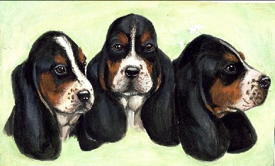 bassets.jpg