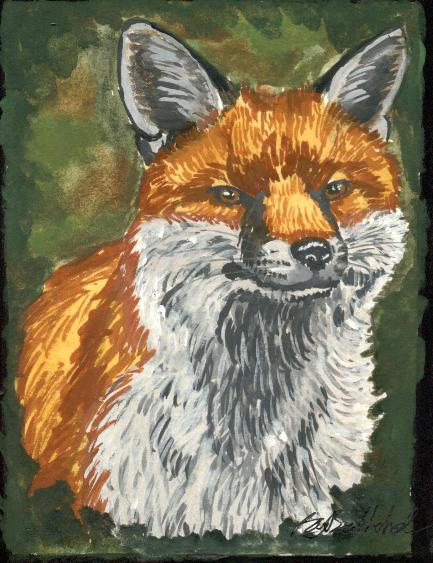 danfox0001.jpg