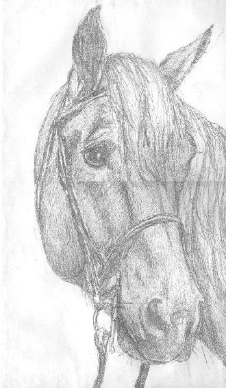 horsehed.jpg