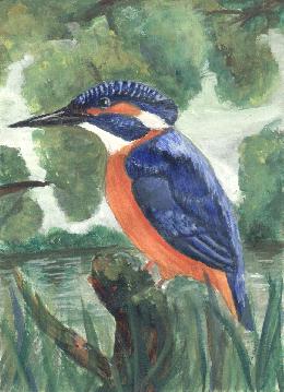 kingfisher.jpg