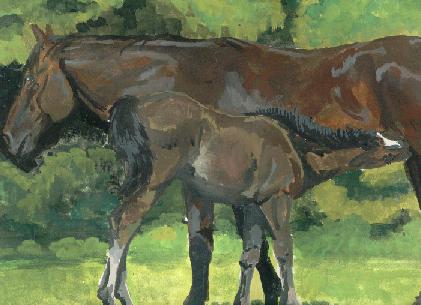 mareanfoal.jpg