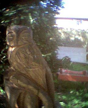 owl3.jpg